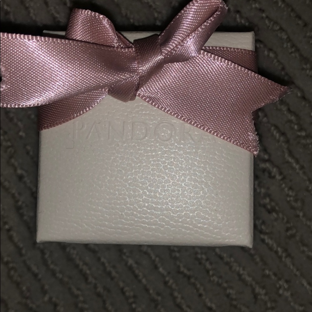 Pandora charm NFL